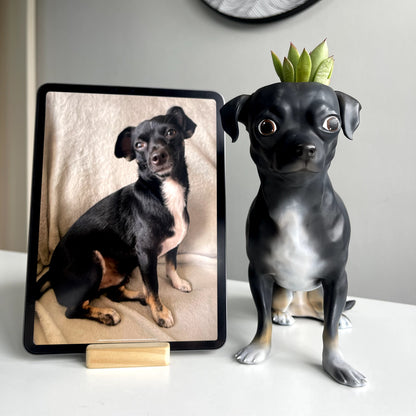 Pot de fleurs pour animaux de compagnie personnalisé imprimé manuellement