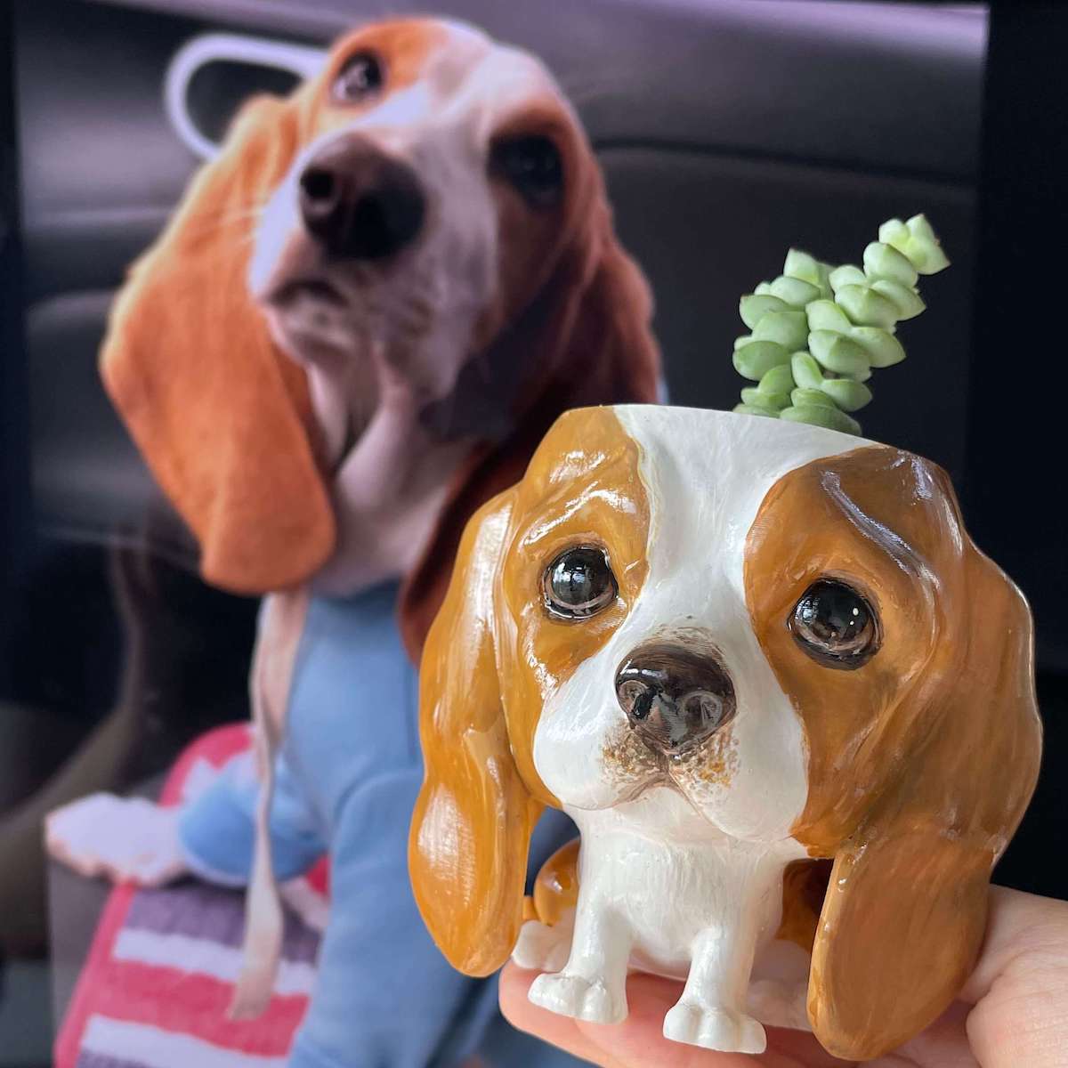 Manual Printed Custom Pet Plant Pot